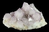 Cactus Quartz (Amethyst) Crystal Cluster - South Africa #132527-2